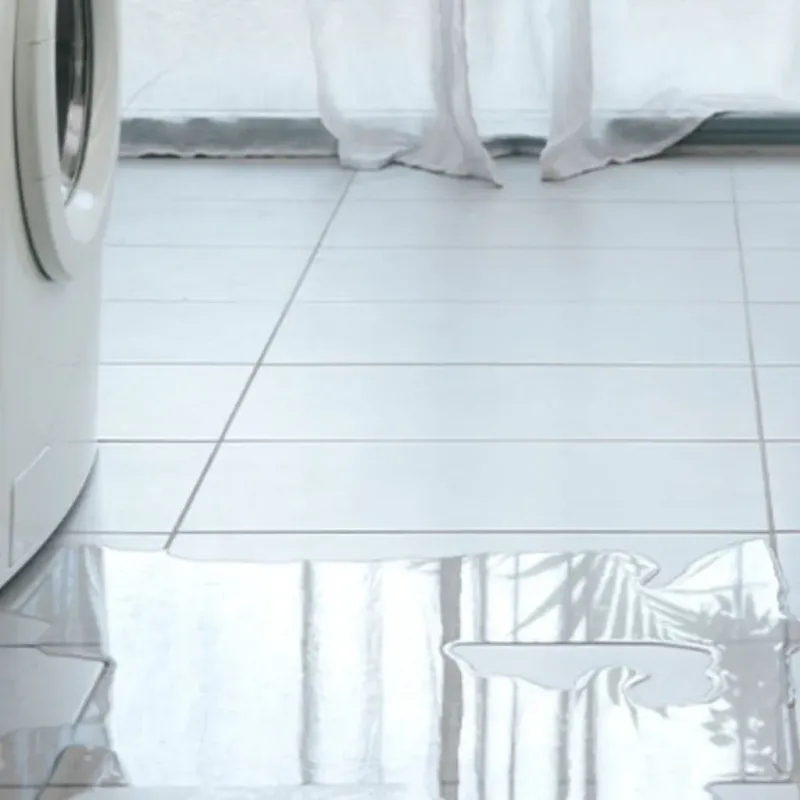 Appliance Leak Cleanup in Lovejoy, GA
