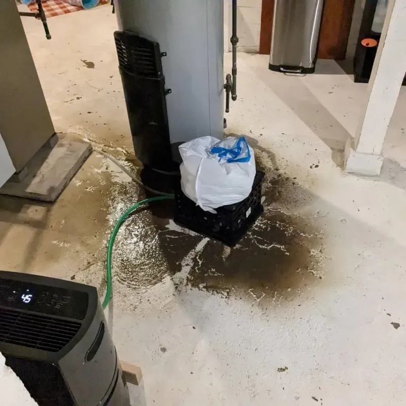 Sewage Backup Cleanup Service in Lovejoy, GA